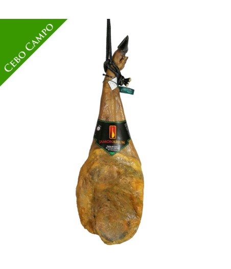 Iberian pata negra Spanish shoulder ham